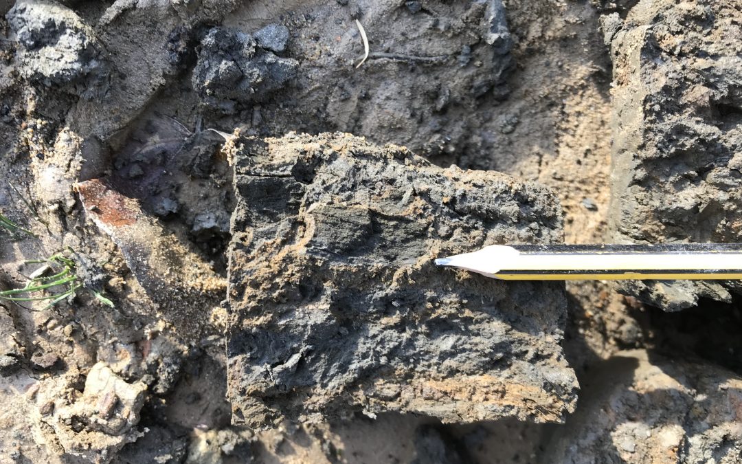 From Soil to Safety: How Ground Investigation Prevents Construction Disasters