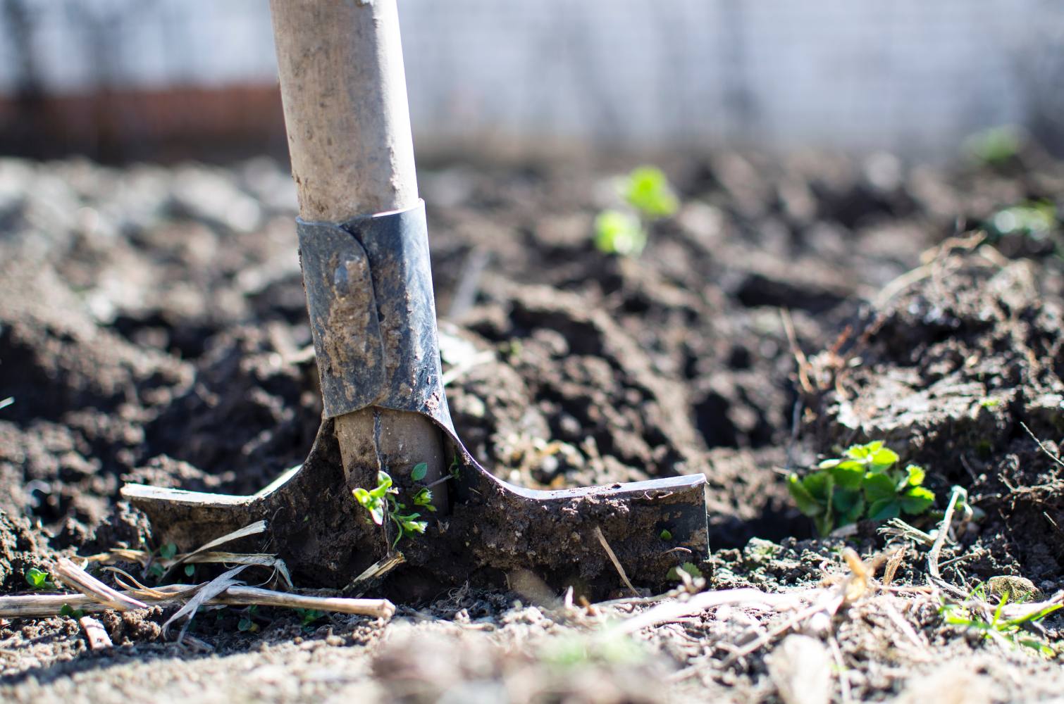 agriculture-backyard-blur-296230 Outdoor gardening